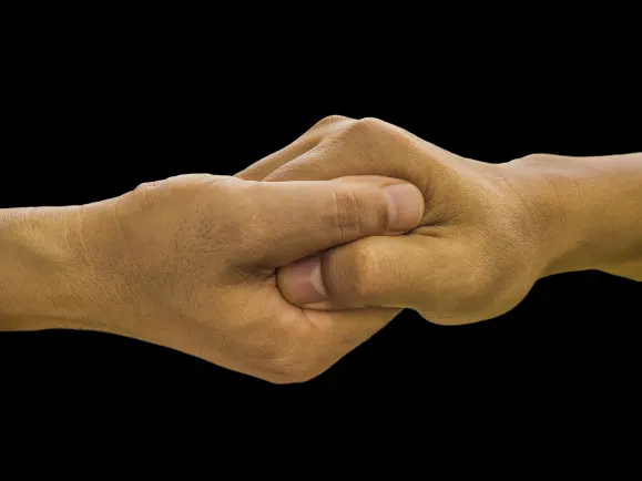 الايفياي كازينو الدعم